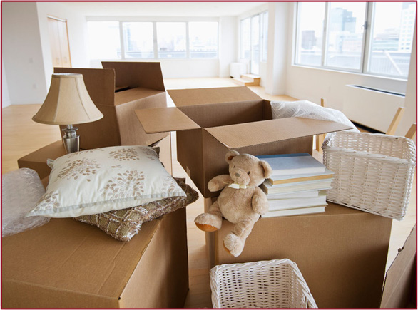 Home Relocation Service , World India Logistics Packers and Movers